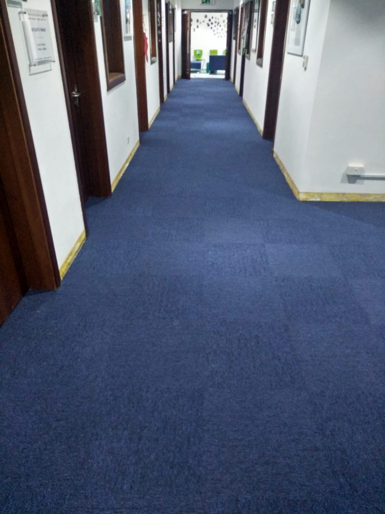 Vinyl Flooring Rolls