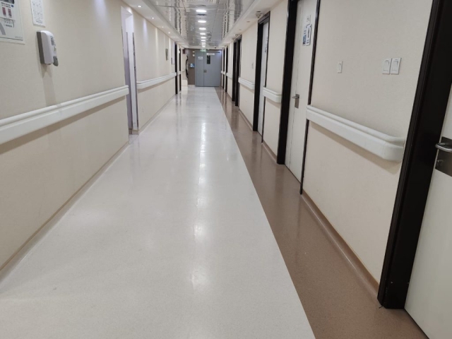 Hospital Handrails